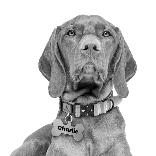 Hellgar Tactical Badass Name Tags | Big Bone