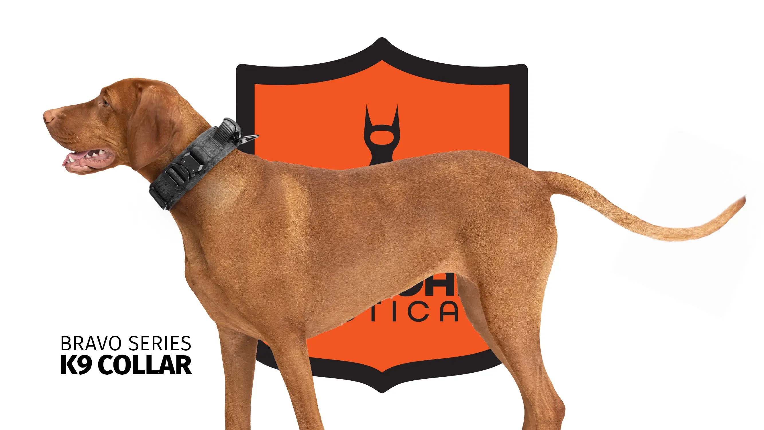 Hellgar Tactical, thick dog collar, tactical dog collar, heavy duty dog collar
