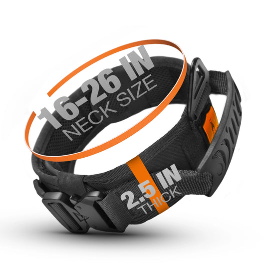 2.5" in tactical dog collar, thick collar with handle for big dogs, dog collar with name, large dog collar, pitbull collar, Black