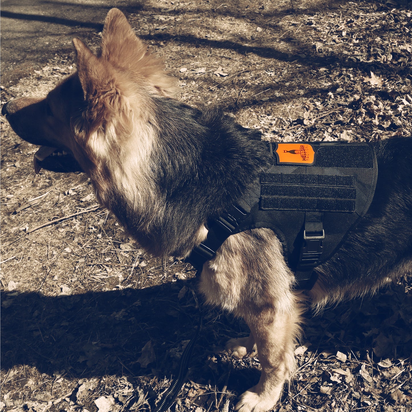Hellgar™ Harness | Tactical Dog Harness