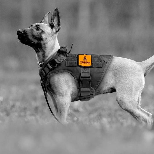 Hellgar-Tactical-Dog-Harness-chew-proof-escape-proof-heavy-duty-service-dog-vest