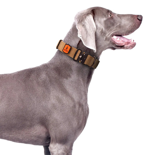 1.5" inch Echo Tactical Dog Collar