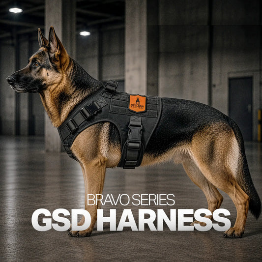 Best GSD Harness – Built for German Shepherds - Hellgar Tactical