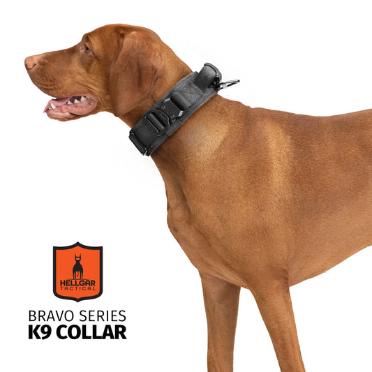 Hellgar Tactical, thick dog collar, tactical dog collar, heavy duty dog collar