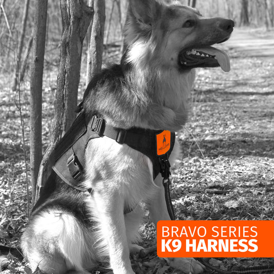 Best GSD Harness – Built for German Shepherds - Hellgar Tactical