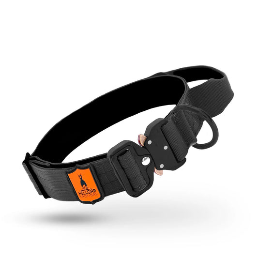 1.5 inch GTTBrute™ Tactical Dog Collar | Medium - Large Breeds