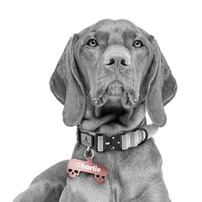 Hellgar Tactical Badass Name Tags | Duel Skull