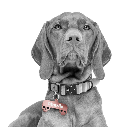 Hellgar Tactical Badass Name Tags | Duel Skull