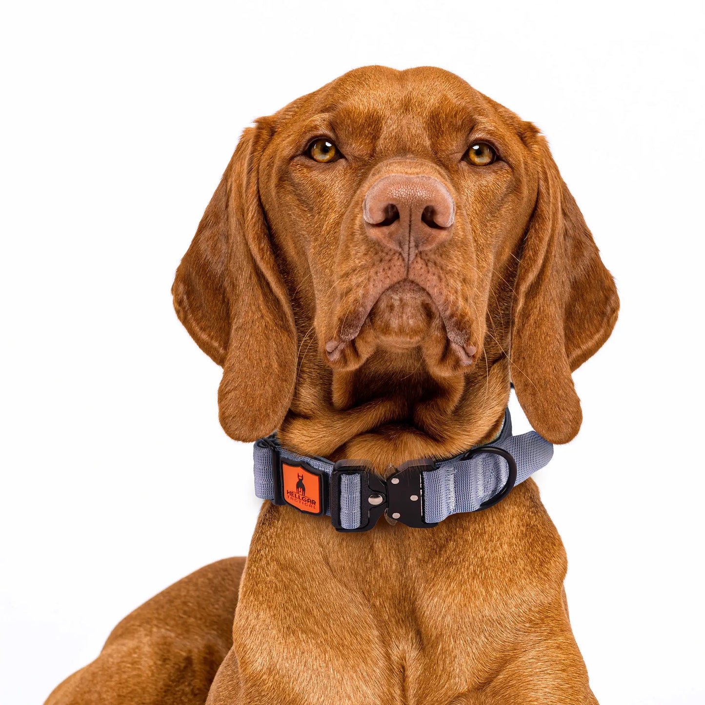 Hellgar Tactical | Echo Dog Leash and Collar Set