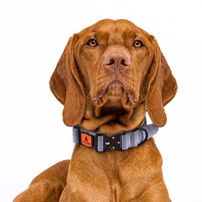 Hellgar Tactical | Echo Dog Leash and Collar Set