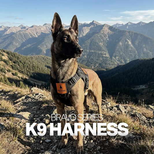 Hellgar™ Harness | Tactical Dog Harness