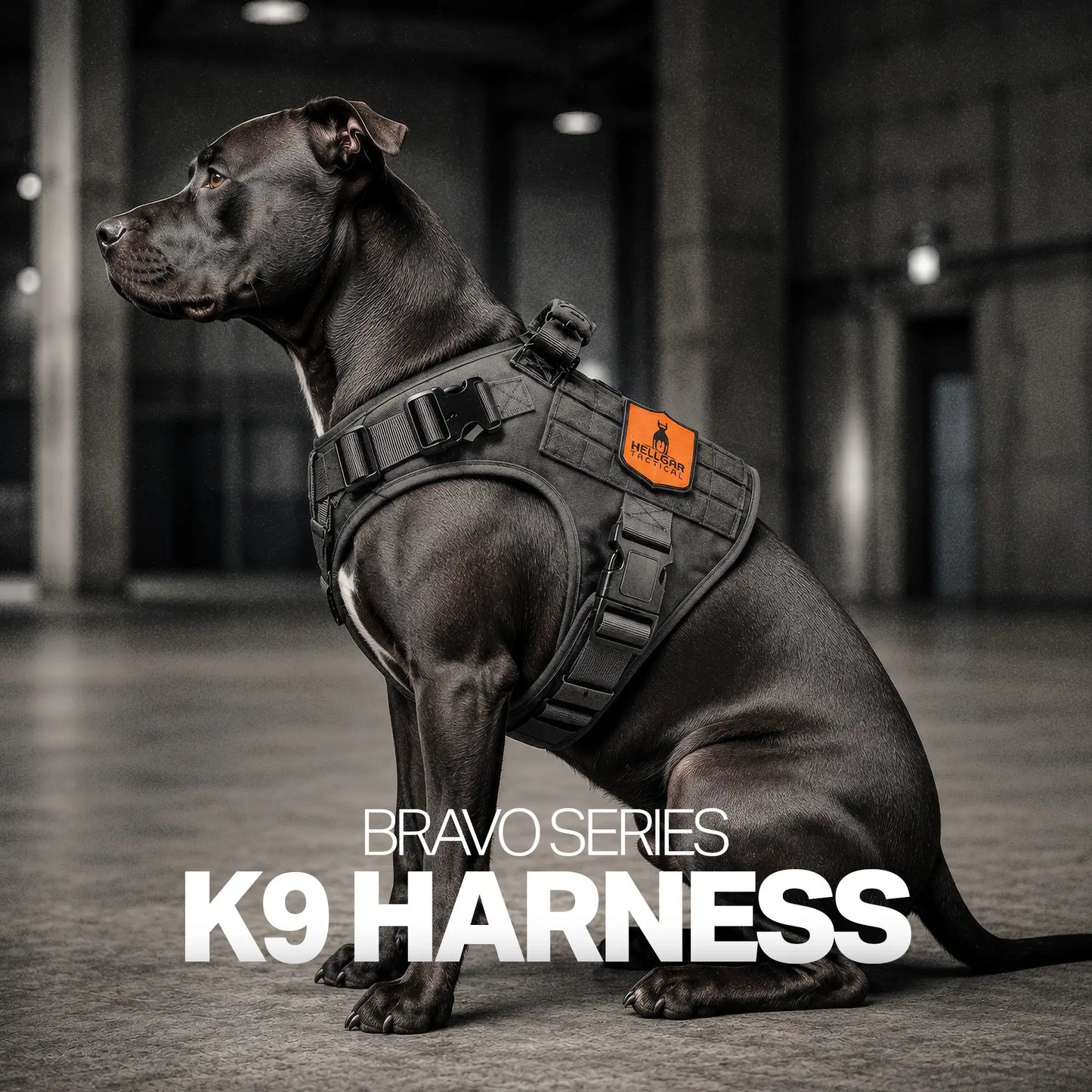 Chew resistant, unchewable, chew proof dog harness | Hellgar Tactical