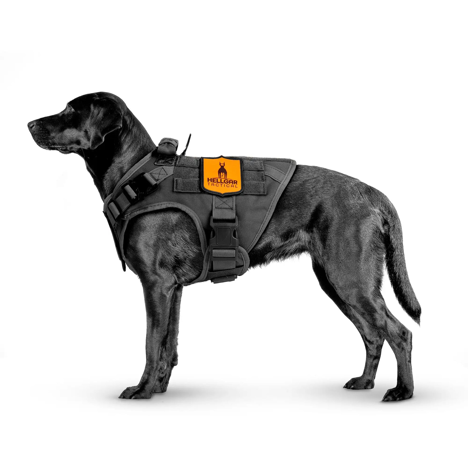 Chew resistant, unchewable, chew proof dog harness Hellgar Tactical