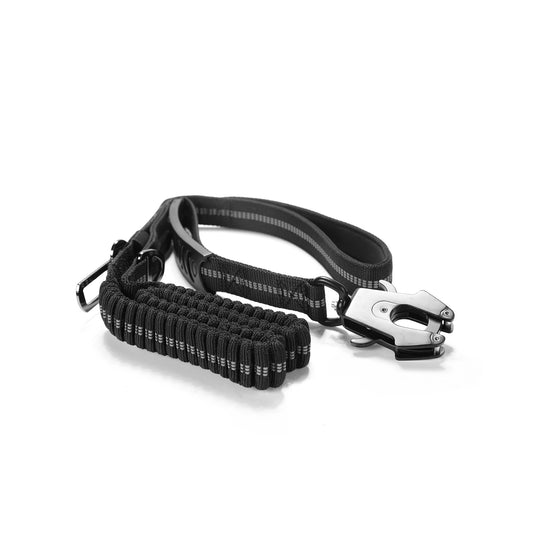 Dog Leash Seat Belt