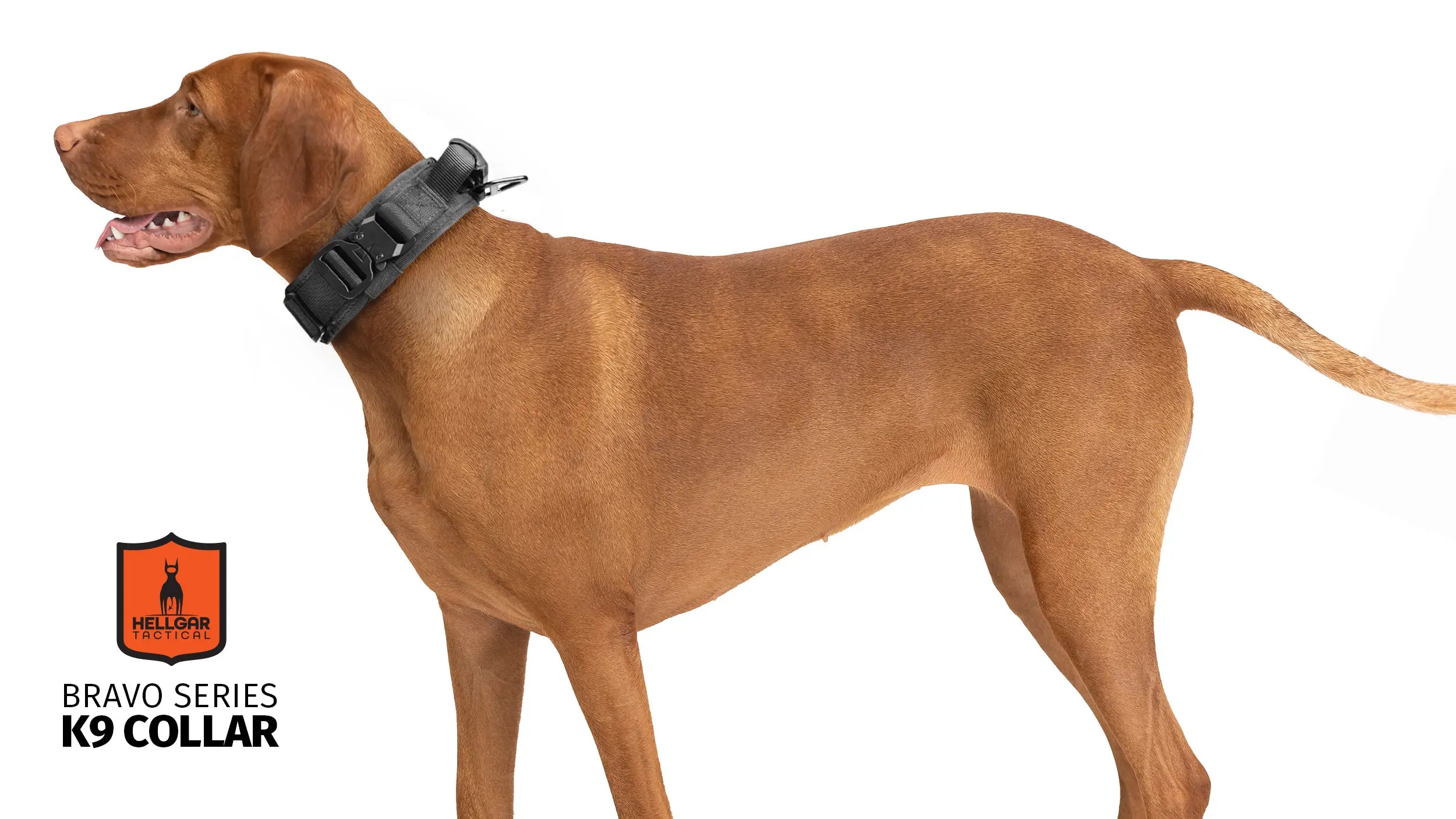 Hellgar Tactical, thick dog collar, tactical dog collar, heavy duty dog collar
