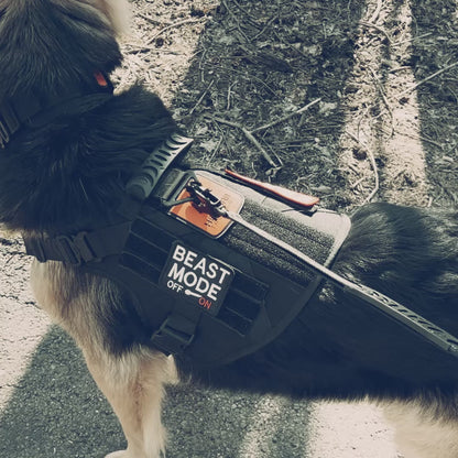 Chew resistant, unchewable, chew proof dog harness | Hellgar Tactical